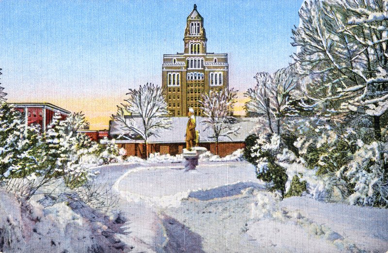 Mayo Park in Winter